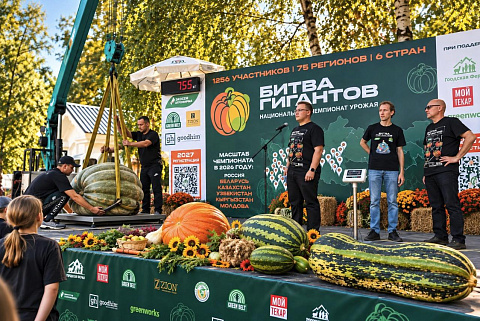 817 килограммов тыквы и рекорд России: стали известны победители «Битвы гигантов»
