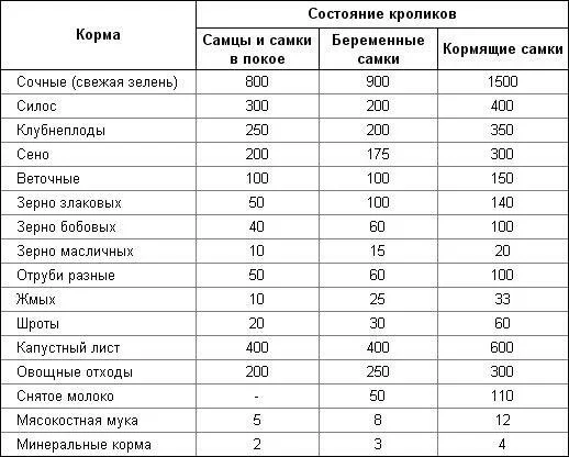 Сколько растут кролики на мясо и как ускорить этот процесс?