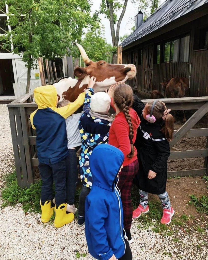 Городской летний лагерь, или «Нескучный кампус» для детей